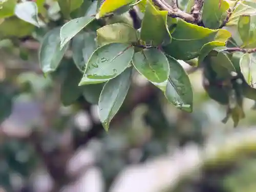 西方山極楽寺(岐阜県)