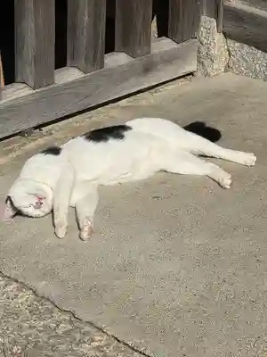 観音正寺(滋賀県)