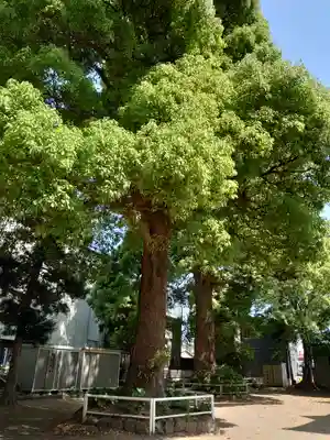 稲荷神社(静岡県)