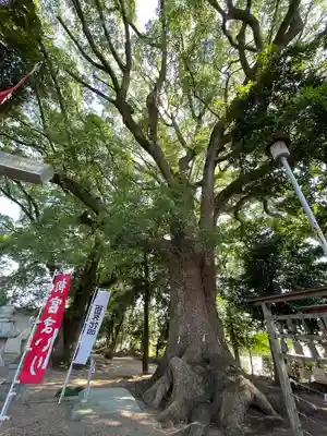 飯野神社(三重県)