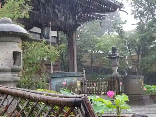 妙蓮寺のその他建物