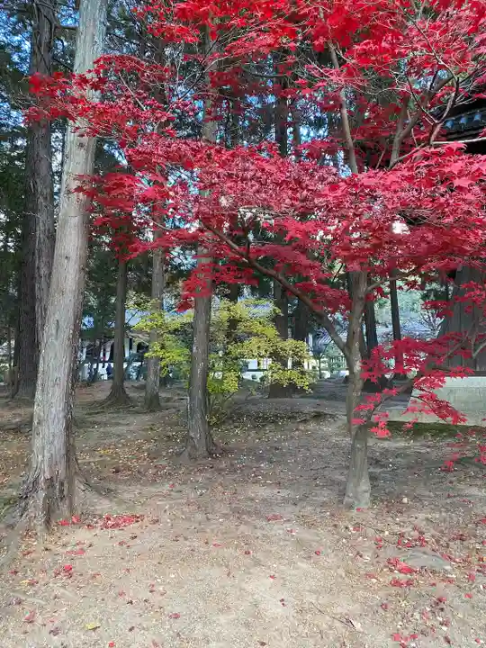 曹源寺(岡山県)