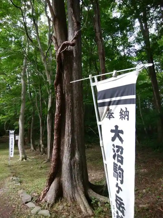 大沼駒ケ岳神社(北海道)