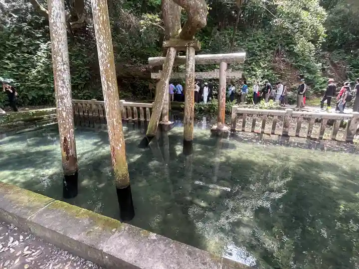 鹿島神宮(茨城県)
