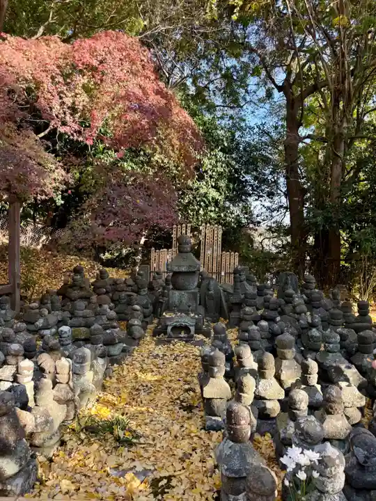 杉本寺(神奈川県)