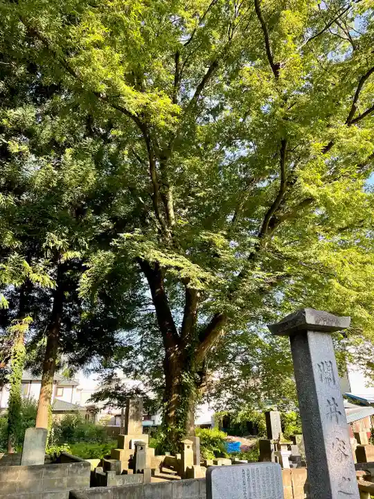 実成寺(福島県)