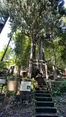 住吉玉津島神社(栃木県)