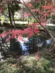 橘樹神社(千葉県)