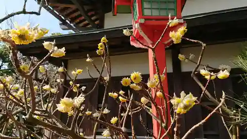 荏柄天神社のその他建物