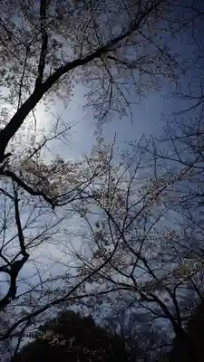 平野神社(京都府)