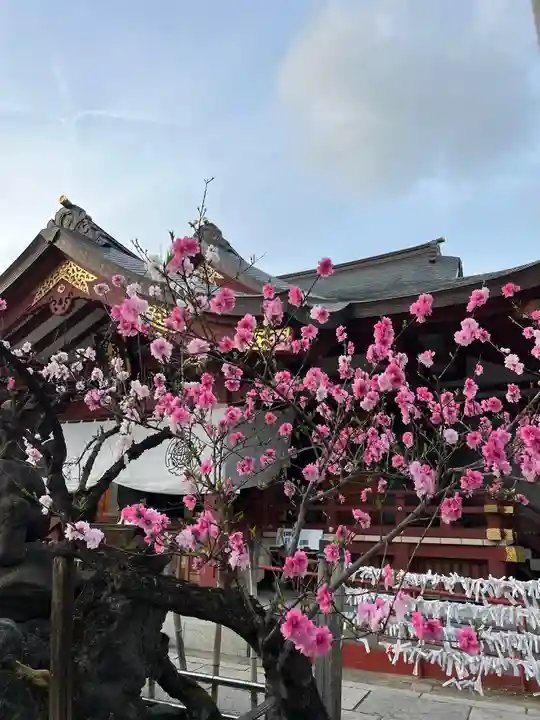 素盞雄神社(東京都)