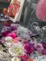 彌都加伎神社の手水舎