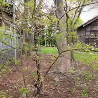 彌彦神社 (伊夜日子神社)の自然