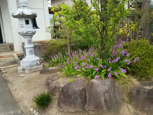 妙詮寺(山梨県)