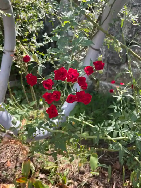 霊山寺(奈良県)