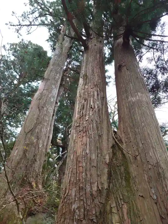 大神山神社奥宮(鳥取県)