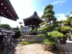 安楽寺の建物その他