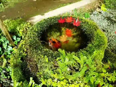 八女津媛神社の手水舎