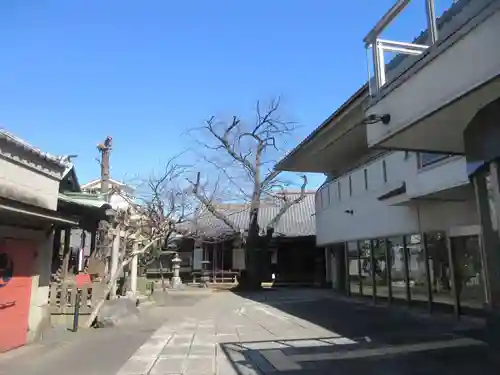観明寺(東京都)