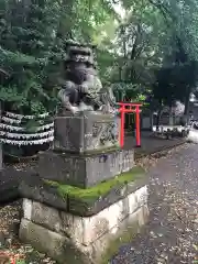 杵築大社の狛犬