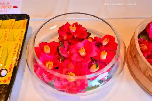 酒列磯前神社(茨城県)