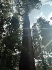 高千穂神社(宮崎県)