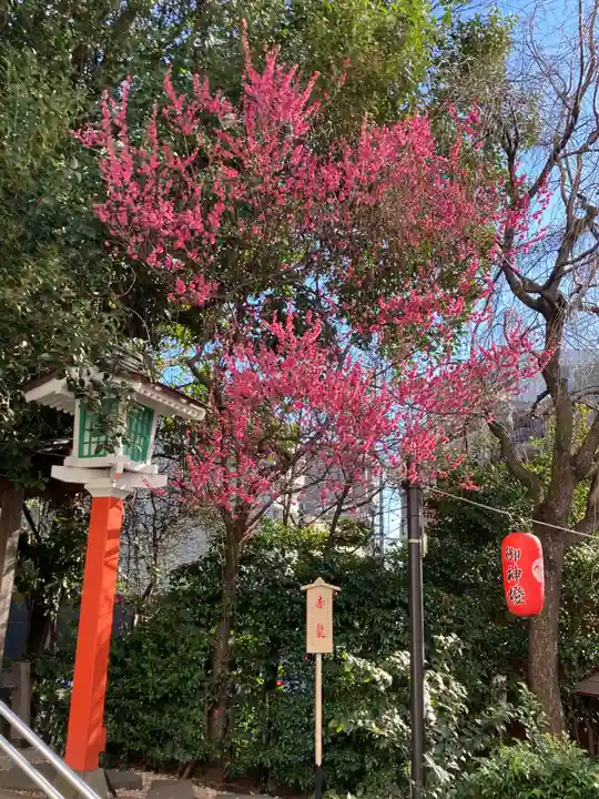 田無神社の自然