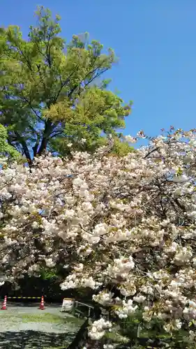 光丸山 法輪寺の自然