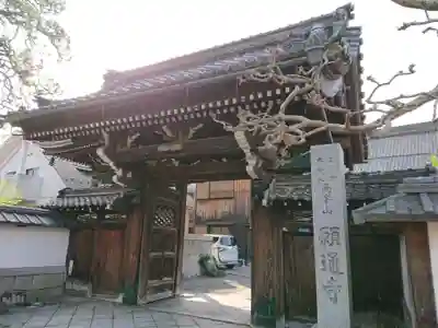 願通寺の山門・神門