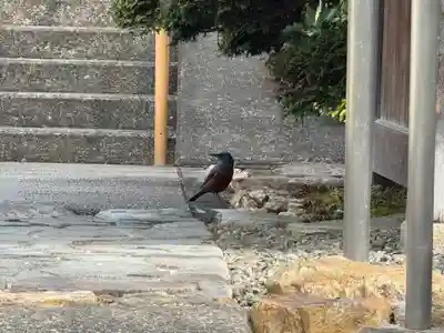 西方山極楽寺(岐阜県)