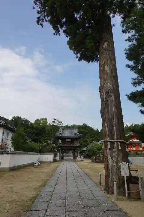 與田寺の山門・神門