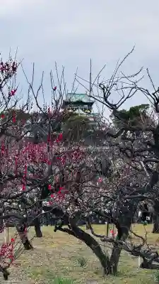 豊國神社の{uncategorized: "未分類", other: "その他", undefined: "問題あり", building: "その他建物", grave: "お墓", sacred_gate: "鳥居", guardian: "狛犬", statue: "像", buddha: "仏像", history: "歴史", nature: "自然", garden: "庭園", animal: "動物", pagoda: "塔", temizu: "手水舎", mountain_gate: "山門・神門", sanctuary: "本殿・本堂", subordinate: "末社・摂社", art: "芸術", scenery: "景色", jizo: "地蔵", ema: "絵馬", goshuin: "御朱印", omikuji: "おみくじ", items: "授与品その他", amulet: "お守り", goshuincho: "御朱印帳", eats: "食事", festival: "お祭り", votive_dance: "神楽", shichigosan: "七五三参", wedding: "結婚式", experience: "体験その他", initially: "初詣", around: "周辺", anti_infection: "感染症対策"}