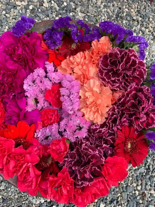 彌都加伎神社の手水舎