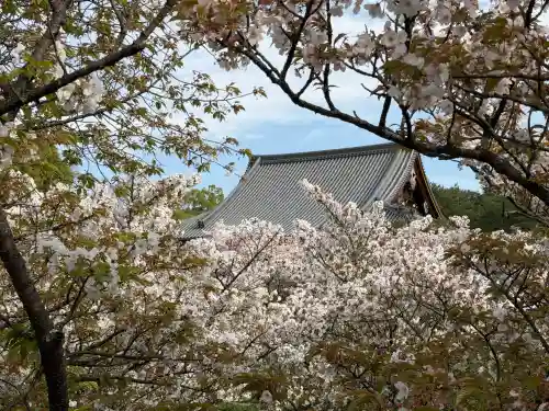 仁和寺の{uncategorized: "未分類", other: "その他", undefined: "問題あり", building: "その他建物", grave: "お墓", sacred_gate: "鳥居", guardian: "狛犬", statue: "像", buddha: "仏像", history: "歴史", nature: "自然", garden: "庭園", animal: "動物", pagoda: "塔", temizu: "手水舎", mountain_gate: "山門・神門", sanctuary: "本殿・本堂", subordinate: "末社・摂社", art: "芸術", scenery: "景色", jizo: "地蔵", ema: "絵馬", goshuin: "御朱印", omikuji: "おみくじ", items: "授与品その他", amulet: "お守り", goshuincho: "御朱印帳", eats: "食事", festival: "お祭り", votive_dance: "神楽", shichigosan: "七五三参", wedding: "結婚式", experience: "体験その他", initially: "初詣", around: "周辺", anti_infection: "感染症対策"}