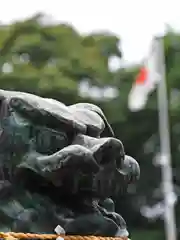 宇佐神社の狛犬