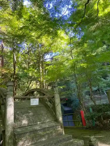 大矢田神社(岐阜県)