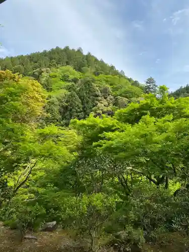 高山寺の景色