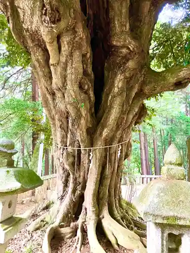 雨引千勝神社(茨城県)