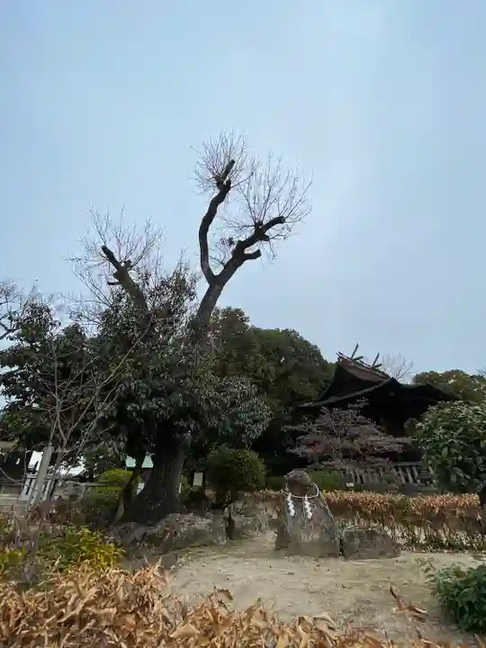 阿智神社(岡山県)