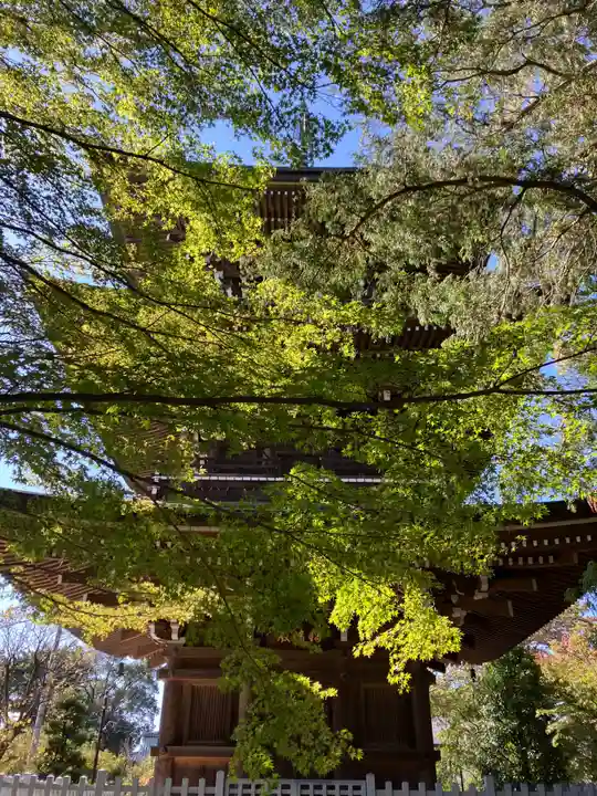 道場寺のその他建物