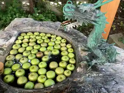 廣田神社～病厄除守護神～(青森県)
