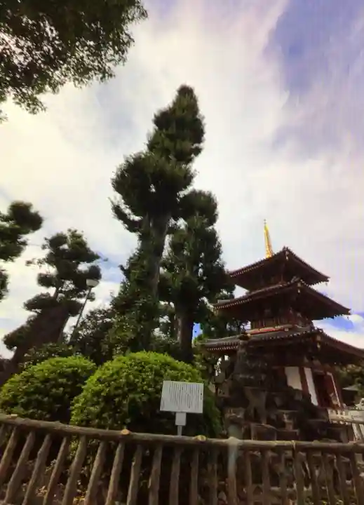 宝仙寺(東京都)