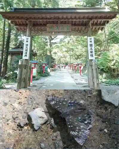 高尾山薬王院の山門・神門