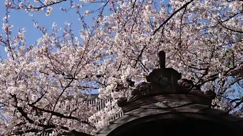 西新井大師総持寺の自然