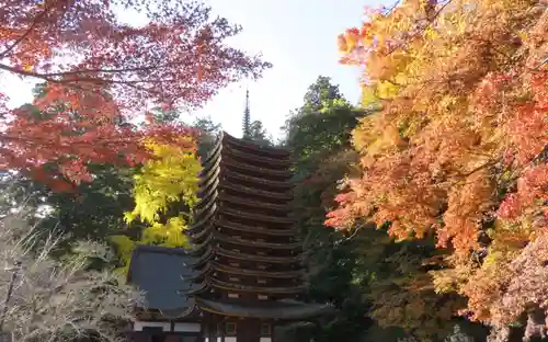 談山神社(奈良県)
