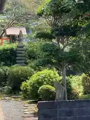 常行院の庭園