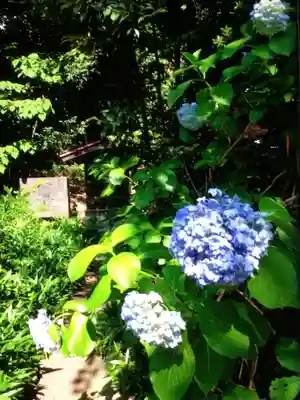 渋谷氷川神社(東京都)