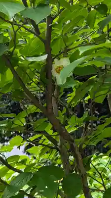  智積院(京都府)