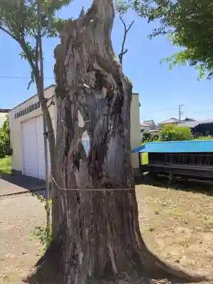 飯島八坂神社(神奈川県)