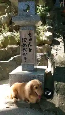 観音寺の{uncategorized: "未分類", other: "その他", undefined: "問題あり", building: "その他建物", grave: "お墓", sacred_gate: "鳥居", guardian: "狛犬", statue: "像", buddha: "仏像", history: "歴史", nature: "自然", garden: "庭園", animal: "動物", pagoda: "塔", temizu: "手水舎", mountain_gate: "山門・神門", sanctuary: "本殿・本堂", subordinate: "末社・摂社", art: "芸術", scenery: "景色", jizo: "地蔵", ema: "絵馬", goshuin: "御朱印", omikuji: "おみくじ", items: "授与品その他", amulet: "お守り", goshuincho: "御朱印帳", eats: "食事", festival: "お祭り", votive_dance: "神楽", shichigosan: "七五三参", wedding: "結婚式", experience: "体験その他", initially: "初詣", around: "周辺", anti_infection: "感染症対策"}